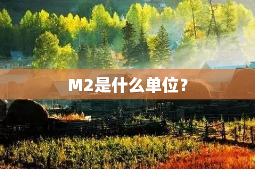 M2是什么单位？