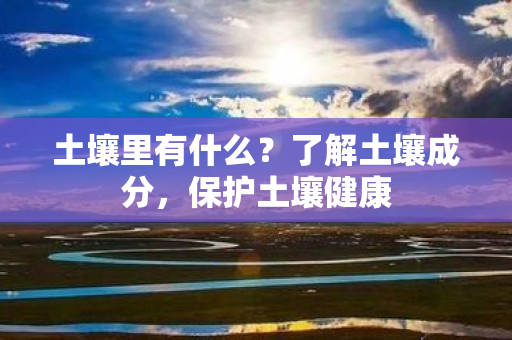 土壤里有什么？了解土壤成分，保护土壤健康