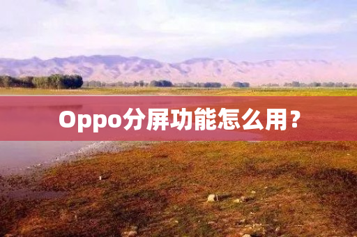 Oppo分屏功能怎么用？