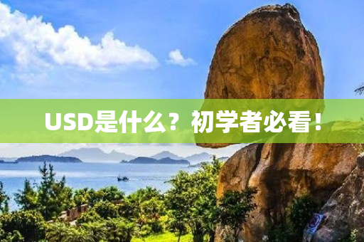 USD是什么？初学者必看！