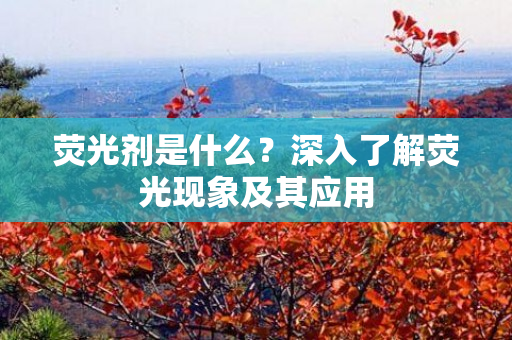 荧光剂是什么？深入了解荧光现象及其应用