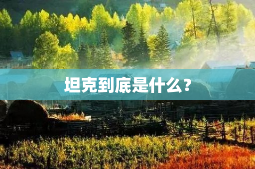 坦克到底是什么？