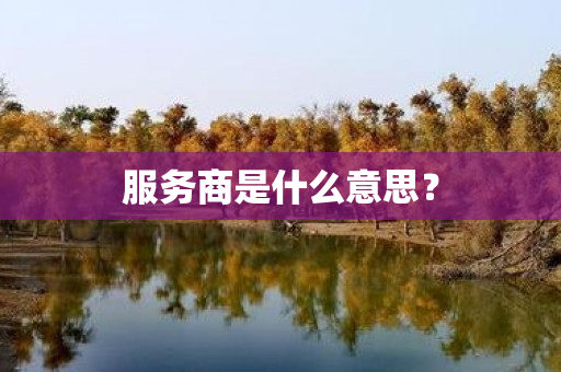 服务商是什么意思？