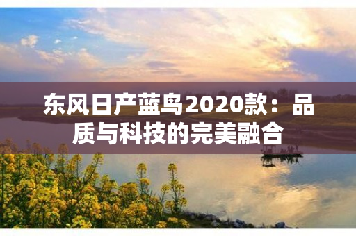 东风日产蓝鸟2020款：品质与科技的完美融合