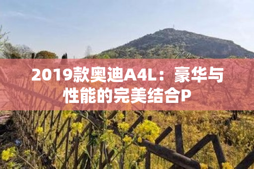 2019款奥迪A4L：豪华与性能的完美结合P