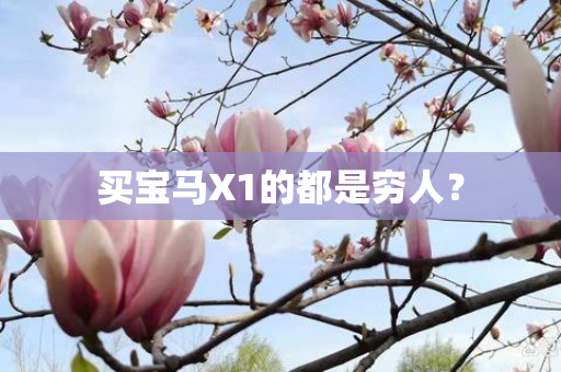 买宝马X1的都是穷人？