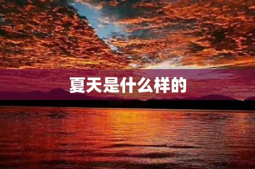 夏天是什么样的