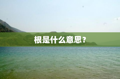 根是什么意思？