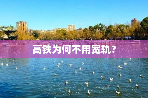 高铁为何不用宽轨？