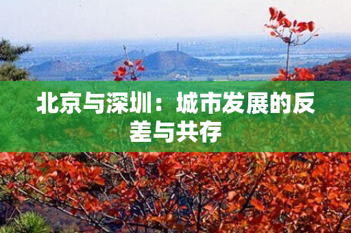 北京与深圳：城市发展的反差与共存