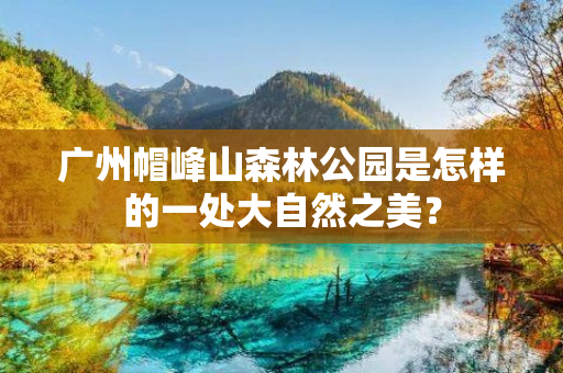 广州帽峰山森林公园是怎样的一处大自然之美？