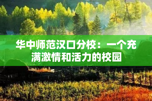 华中师范汉口分校：一个充满激情和活力的校园