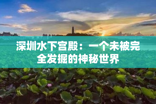 深圳水下宫殿：一个未被完全发掘的神秘世界