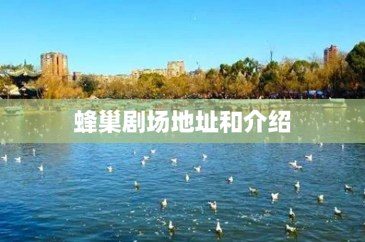 蜂巢剧场地址和介绍