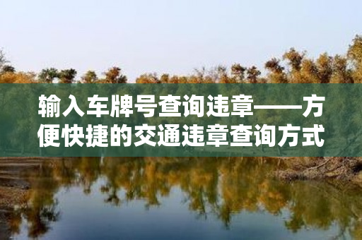 输入车牌号查询违章——方便快捷的交通违章查询方式