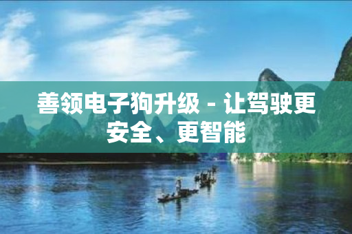 善领电子狗升级 - 让驾驶更安全、更智能