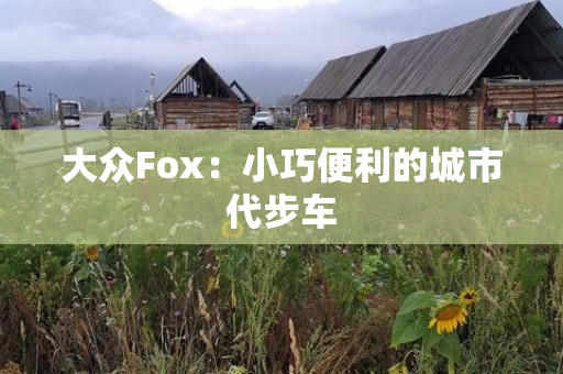 大众Fox：小巧便利的城市代步车