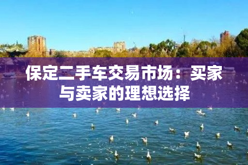 保定二手车交易市场：买家与卖家的理想选择