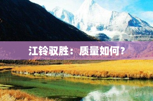 江铃驭胜：质量如何？