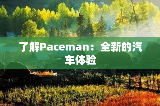 了解Paceman：全新的汽车体验