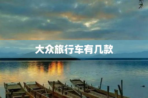 大众旅行车有几款