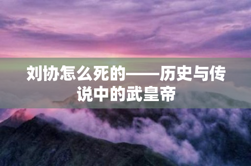 刘协怎么死的——历史与传说中的武皇帝