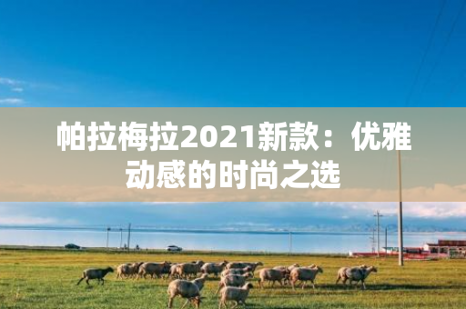 帕拉梅拉2021新款：优雅动感的时尚之选