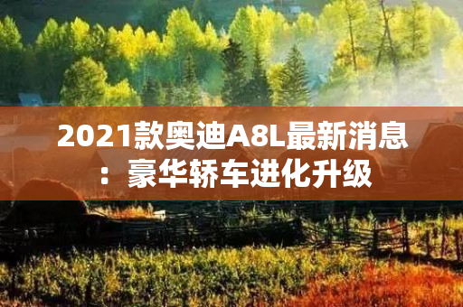 2021款奥迪A8L最新消息：豪华轿车进化升级