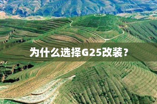 为什么选择G25改装？