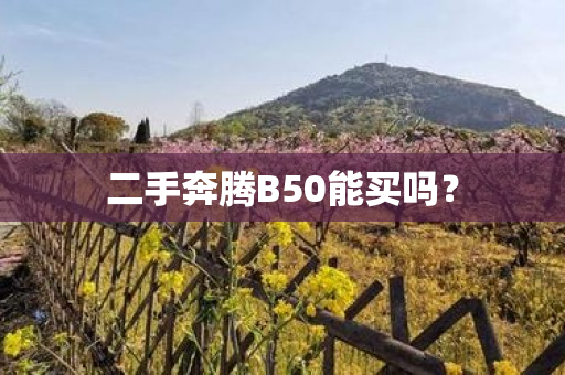 二手奔腾B50能买吗？