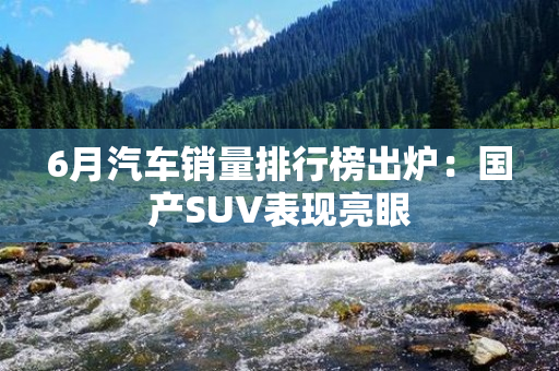 6月汽车销量排行榜出炉：国产SUV表现亮眼