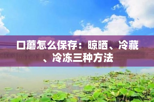 口蘑怎么保存：晾晒、冷藏、冷冻三种方法