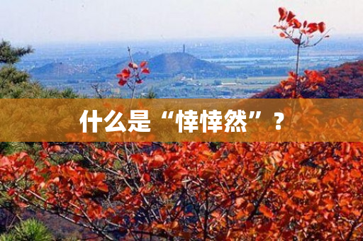 什么是“悻悻然”？