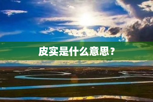 皮实是什么意思？