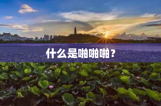 什么是啪啪啪？