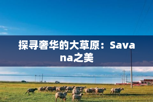 探寻奢华的大草原：Savana之美