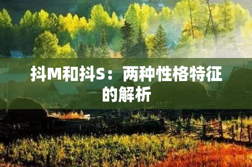 抖M和抖S：两种性格特征的解析