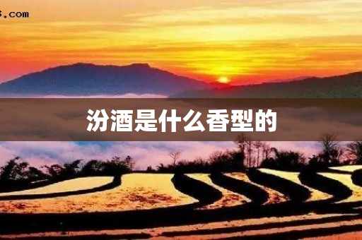 汾酒是什么香型的