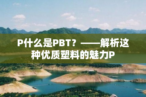 P什么是PBT？——解析这种优质塑料的魅力P