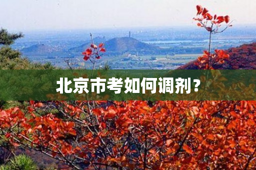 北京市考如何调剂？