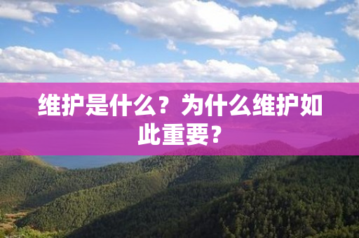 维护是什么？为什么维护如此重要？