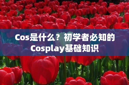 Cos是什么？初学者必知的Cosplay基础知识