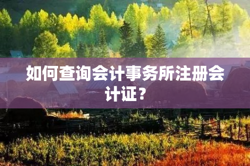 如何查询会计事务所注册会计证？