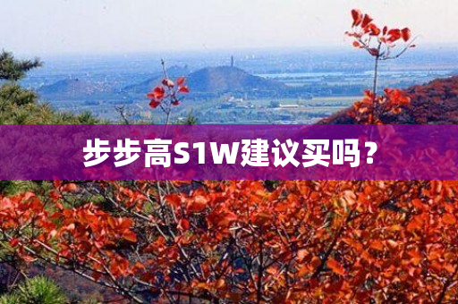 步步高S1W建议买吗？