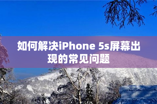 如何解决iPhone 5s屏幕出现的常见问题