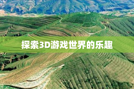 探索3D游戏世界的乐趣