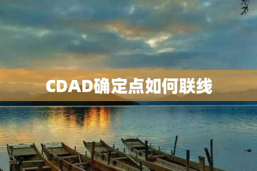 CDAD确定点如何联线