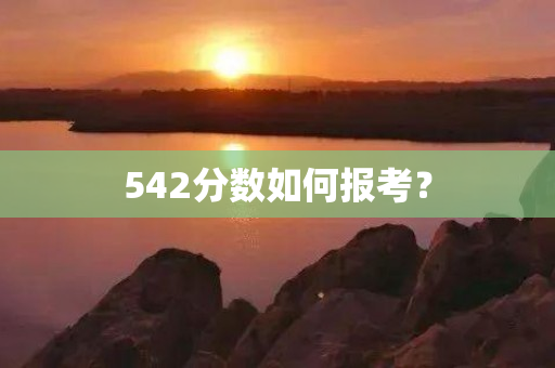 542分数如何报考？