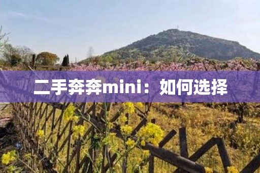 二手奔奔mini：如何选择