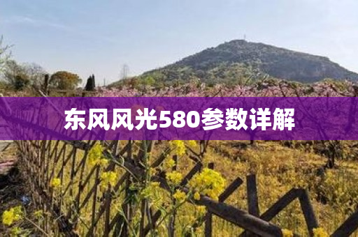 东风风光580参数详解